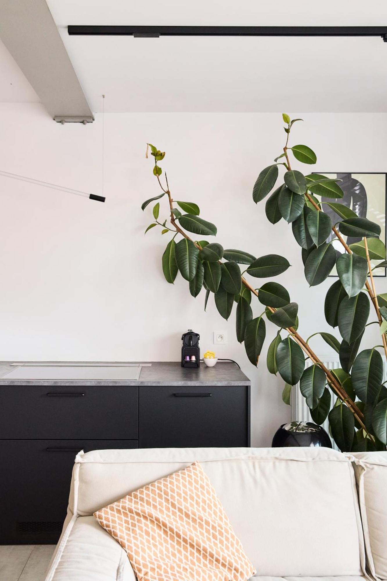 The Banker Antwerpen - Free Parking Apartment Exterior photo